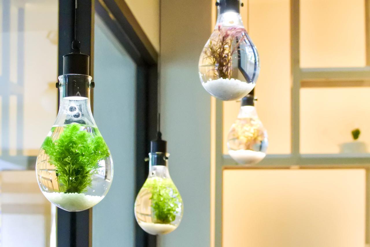 Green Hotel - West District Đài Trung Ngoại thất bức ảnh